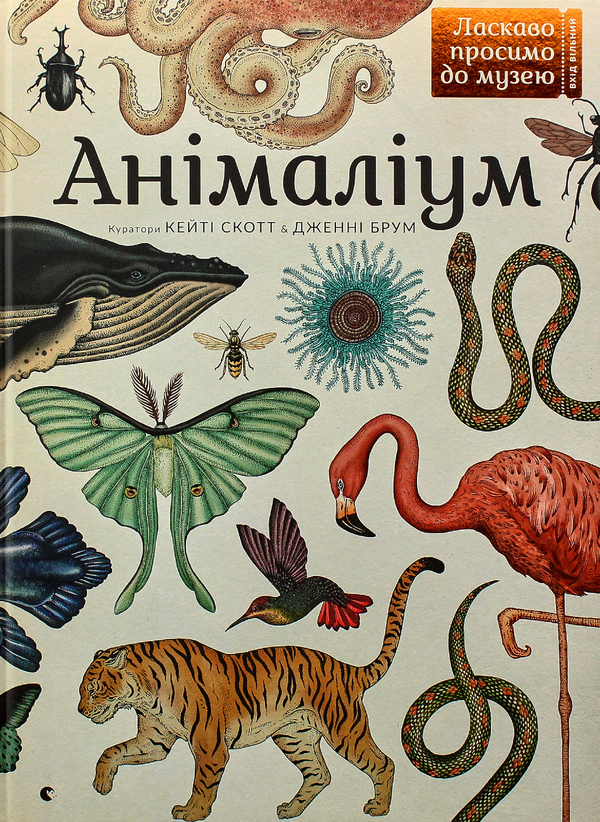 Бумажная книга «Серія пізнавальних книжок-музеїв (комплект із 3 книг)», авторов Дженни Брум, Джо Нельсон, Кэти Уиллис - фото №1