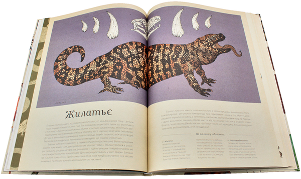 Бумажная книга «Серія пізнавальних книжок-музеїв (комплект із 3 книг)», авторов Дженни Брум, Джо Нельсон, Кэти Уиллис - фото №1