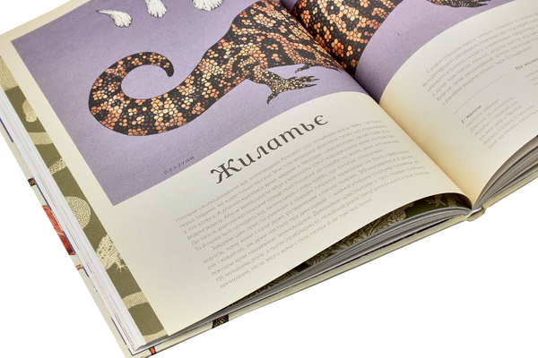 Бумажная книга «Серія пізнавальних книжок-музеїв (комплект із 3 книг)», авторов Дженни Брум, Джо Нельсон, Кэти Уиллис - фото №1