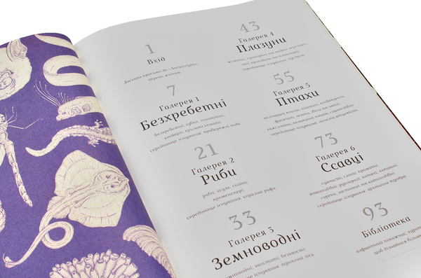 Бумажная книга «Серія пізнавальних книжок-музеїв (комплект із 3 книг)», авторов Дженни Брум, Джо Нельсон, Кэти Уиллис - фото №1