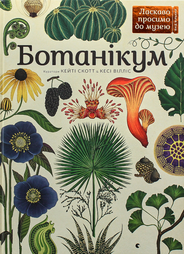 Бумажная книга «Серія пізнавальних книжок-музеїв (комплект із 3 книг)», авторов Дженни Брум, Джо Нельсон, Кэти Уиллис - фото №1