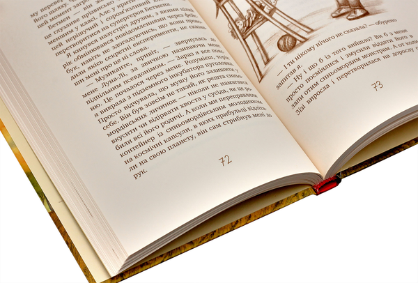Паперова книга «Таємне Товариство Близнюків, або Чудисько озера Лох-Ойх та інші страховища», автор Леся Воронина - фото №1