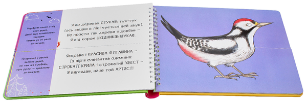 Паперова книга «Тваринки - половинки. У лісі», автор Василь Федієнко - фото №1