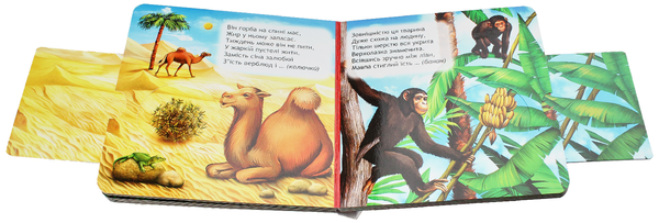 Бумажная книга «Книжки-схованки (комплект із 4 книг)», автор Василий Федиенко - фото №1