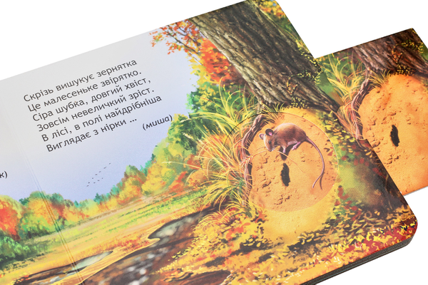 Бумажная книга «Хто сховався у лісі?», автор Василий Федиенко - фото №1