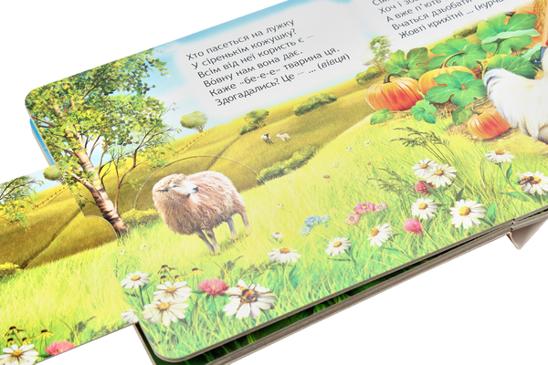 Бумажная книга «Книжки-схованки (комплект із 4 книг)», автор Василий Федиенко - фото №1