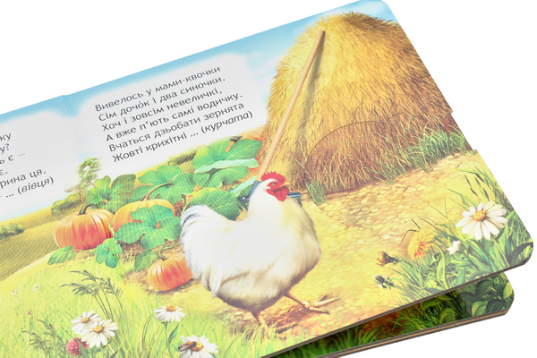 Паперова книга «Хто сховався у дворі?», автор Василь Федієнко - фото №1