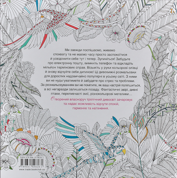 Бумажная книга «Дивосвіт. Розмальовка для спокою та натхнення», автор Милли Маротта - фото №1