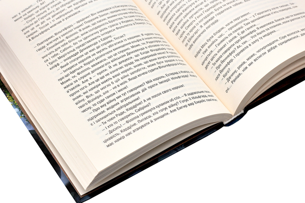 Паперова книга «Відьмак. Час Погорди. Книга 4», автор Анджей Сапковський - фото №1