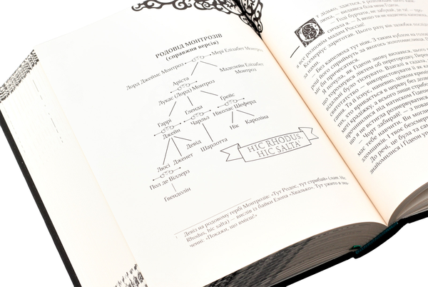 Бумажная книга «Timeless. Книга 3. Смарагдова книга», автор Керстин Гир - фото №1