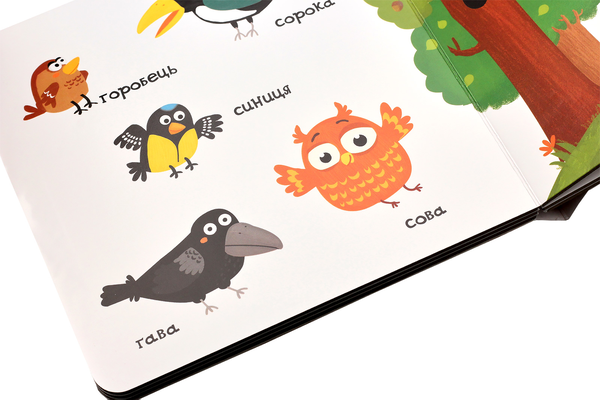 Паперова книга «Тварини в лісі», автор Василь Федієнко - фото №1