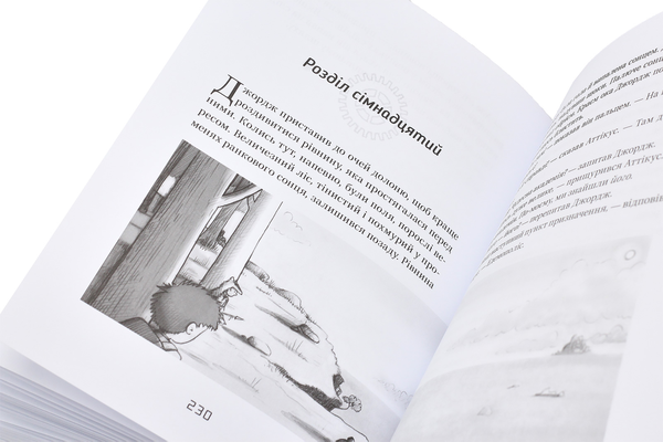 Бумажная книга «Джордж (комплект із 6 книг)», авторов Люси Хокинг, Стивен Хокинг, Кристоф Гальфар - фото №1