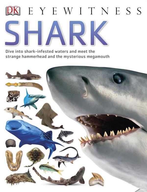 Бумажная книга «Shark» - фото №1