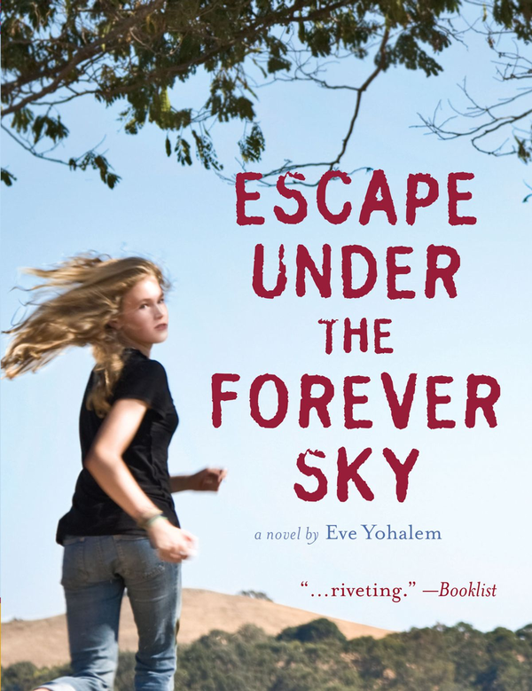 Бумажная книга «Escape Under the Forever Sky», автор Ева Йохалем - фото №1