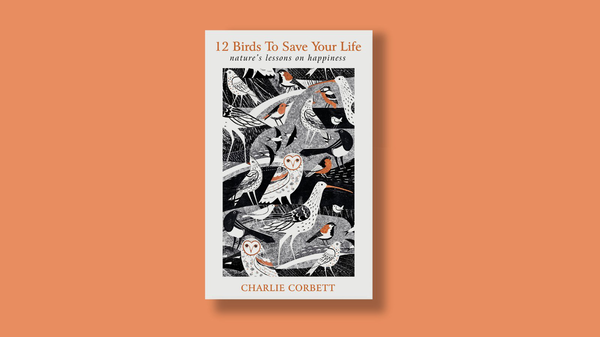 Бумажная книга «12 Birds to Save Your Life», автор Чарли Корбетт - фото №1