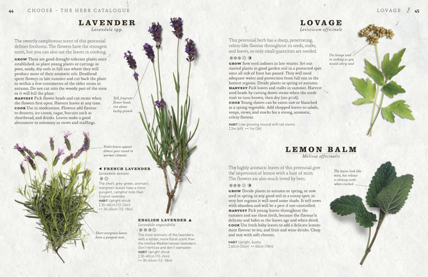 Бумажная книга «The Herb Garden for Cooks», автор Джефф Кокс - фото №1