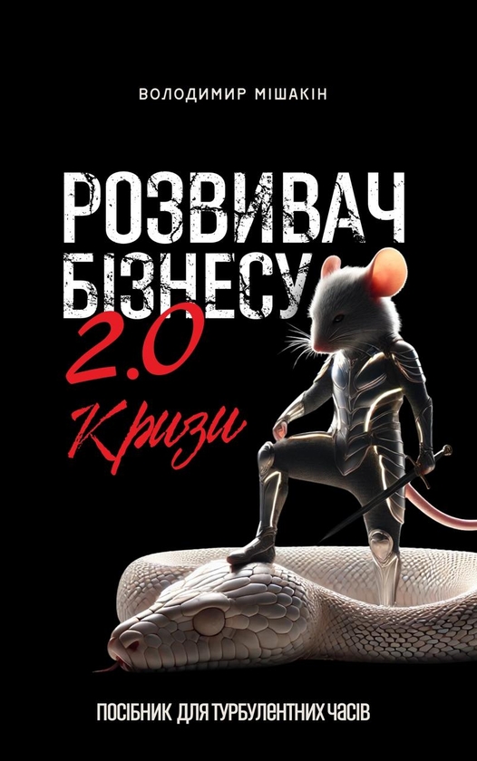 Паперова книга «Розвивач Бізнесу 2.0 », автор Володимир Мішакін - фото №1