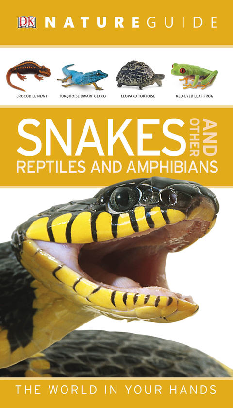 Бумажная книга «Nature Guide Snakes and Other Reptiles and Amphibians. The World in Your Hands» - фото №1