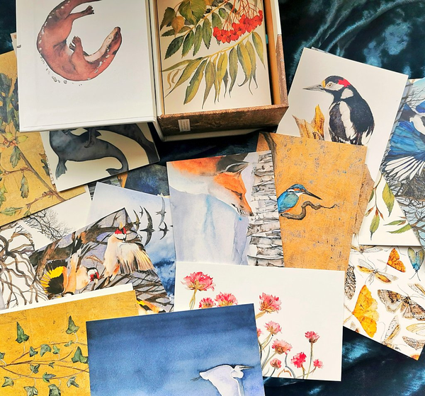 Книга «The Wild Cards. A 100 Postcard Box Set» – Роберт Макфарлейн