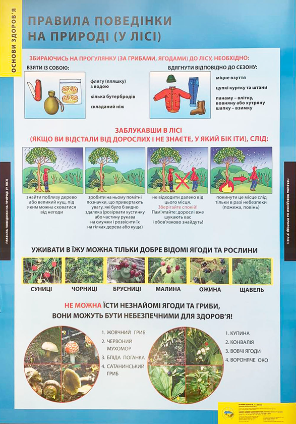 Правила поведінки на природі (у лісі). Плакат