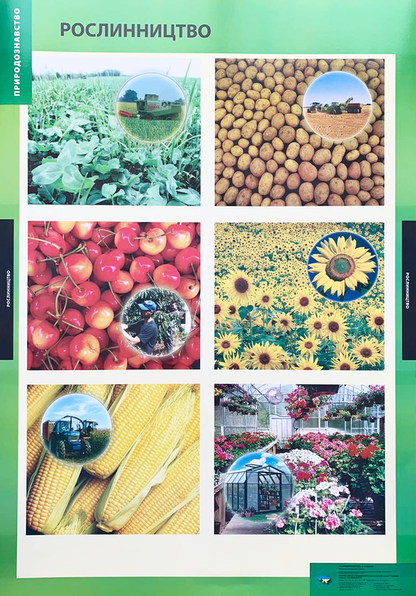Паперова книга «Рослинництво. Плакат» - фото №1