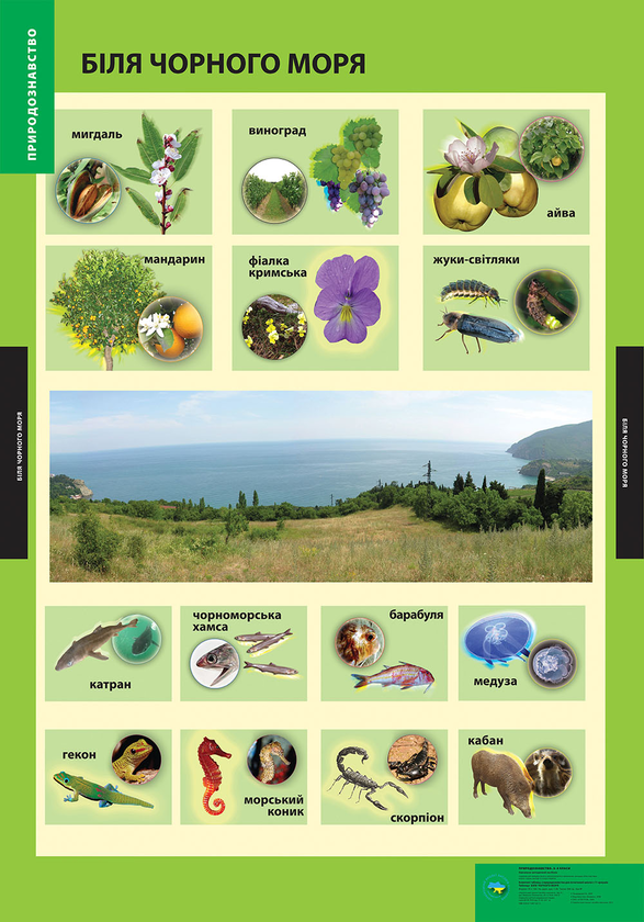 Книга Біля Чорного моря. Плакат