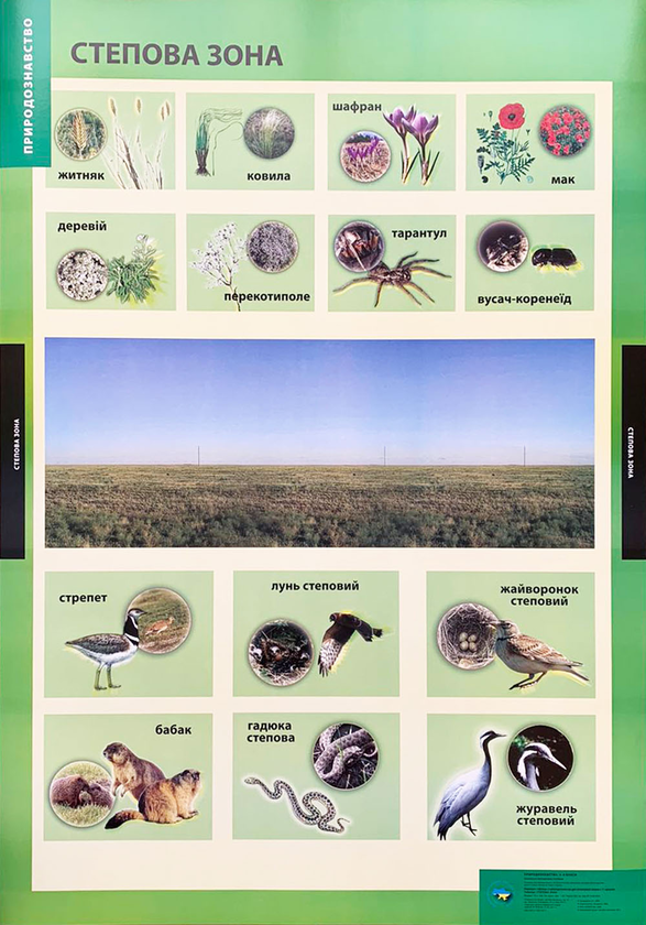 Степова зона. Плакат
