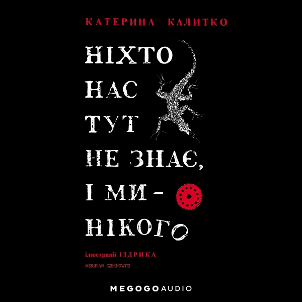 Аудиокнига «Ніхто нас тут не знає і ми - нікого», автор Катерина Калитко - фото №1