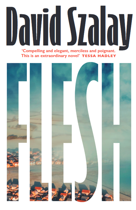 Паперова книга «Flesh», автор Девід Салой - фото №1