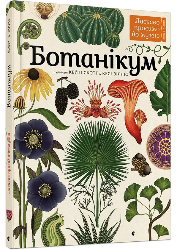 Бумажная книга «Серія пізнавальних книжок-музеїв (комплект із 3 книг)», авторов Дженни Брум, Джо Нельсон, Кэти Уиллис - фото №1