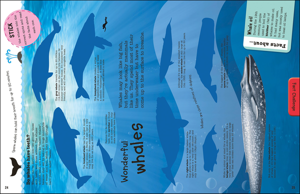 [object Object] «Sharks, Dolphins and Other Sea Creatures Ultimate Factivity Collection. Create your own Fun-packed Book!» - фото №6 - миниатюра