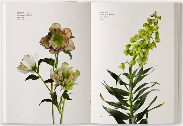 Книга «Flower Colour Guide» – Майкл Патнем, купити за ціною 2256
