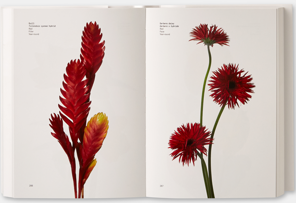 その他 flower Книга «Flower Colour Guide» – Майкл Патнем, купити за ціною 2256