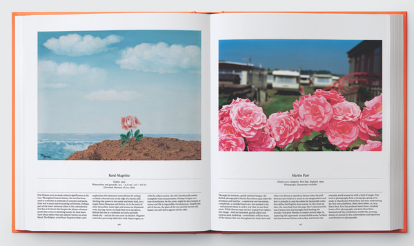 Бумажная книга «Flower: Exploring the World in Bloom» - фото №1