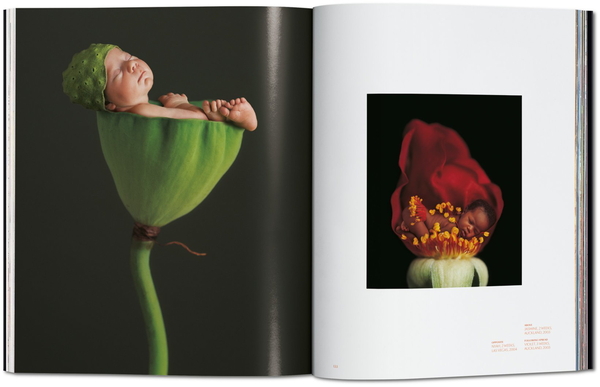 Паперова книга «Anne Geddes. Small World», автор Реуел Голден - фото №1