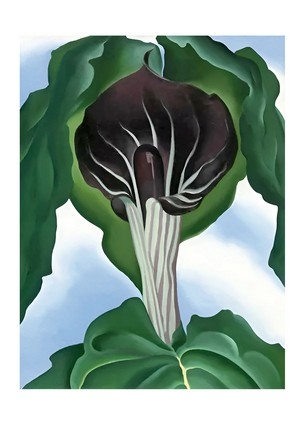«Листівка Jack in the Pulpit No.3, 1930 (GO18)», бренду Artistic Card - фото №1