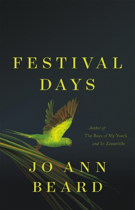 Паперова книга «Festival Days», автор Джо Енн Бірд - фото №1