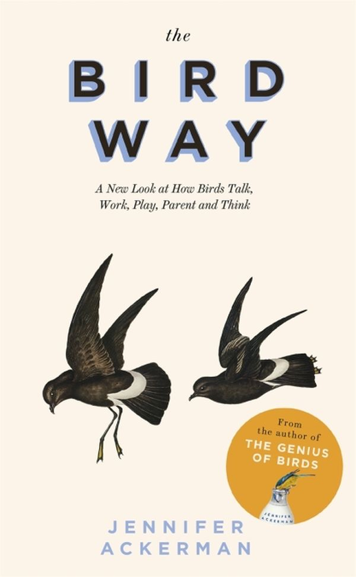 Паперова книга «The Bird Way», автор Дженніфер Акєрман - фото №1