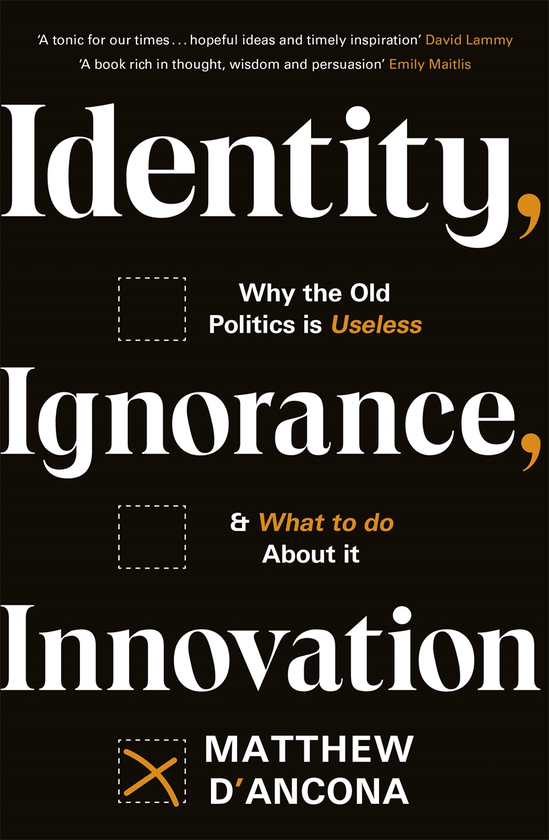 Бумажная книга «Identity, Ignorance, Innovation», автор Мэтью Д'анкона - фото №1