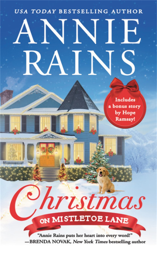 Бумажная книга «Christmas on Mistletoe Lane», автор Энни Рейнс - фото №1