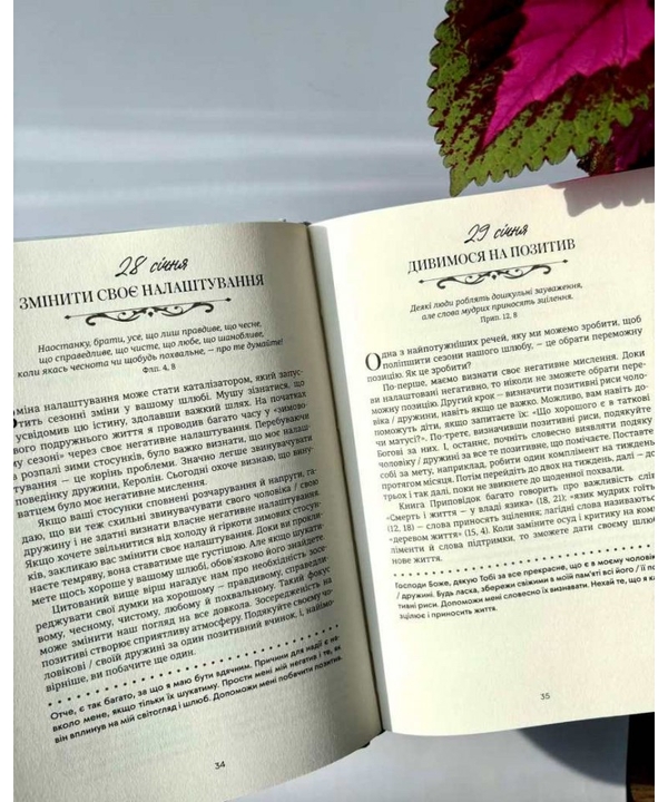 Бумажная книга «Хвилина, присвячена мові любови. Роздуми на кожен день року», автор Гэри Чепмен - фото №1