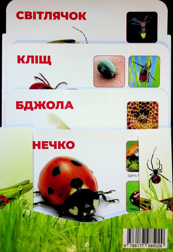 Бумажная книга «Комахи. Маленькі герої великого лісу. Монтессорі-картки» - фото №1