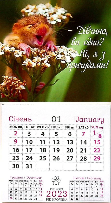 Книга Календар-магніт на 2023. Дівчина, ви одна?