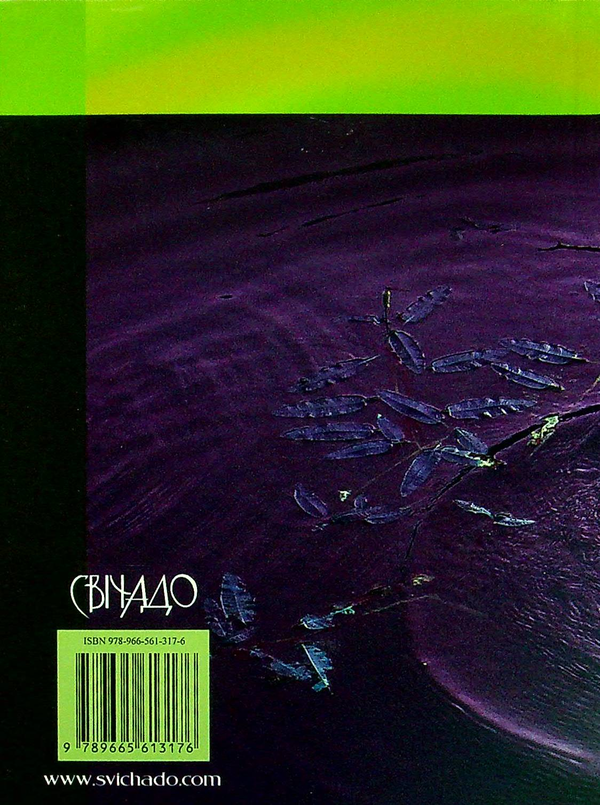 Бумажная книга «Кола на воді», автор Бруно Ферреро - фото №1