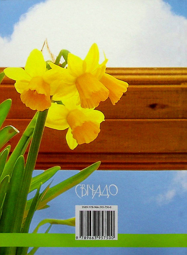 [object Object] «Небо у нашому домі», автор Бруно Ферреро - фото №2 - миниатюра