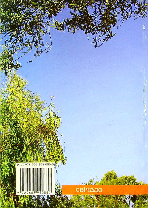 Бумажная книга «Політ сокола», автор Бруно Ферреро - фото №1