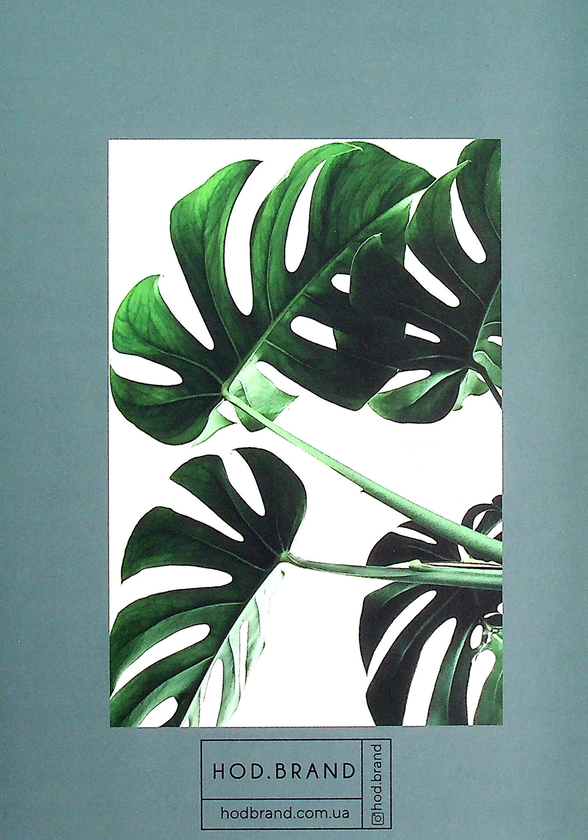 «Блокнот Hod.brand Plants (30030000050)», бренда Hod.brand - фото №1