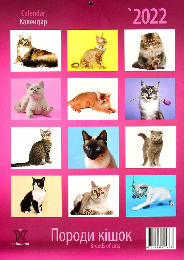 Бумажная книга «Календар на 2022. Світовид. Породи кішок» - фото №1