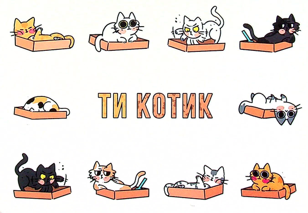 Бумажная книга «Котик (комплект книг + аксесуарів)», авторов Людовик Вийен, Лулу Майо - фото №1