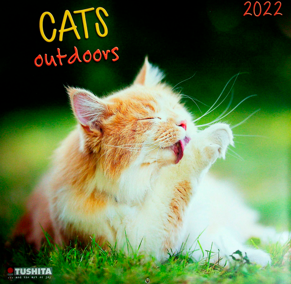 Паперова книга «Календарь на 2022 Cats Outdoors » - фото №1